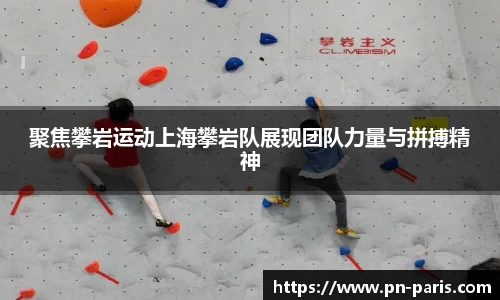 半岛bob·官方网站