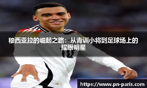 BoB半岛·体育中国官方网站