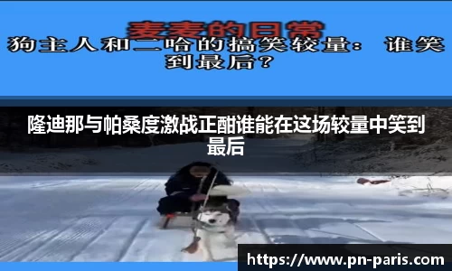 半岛·BOB官方网站