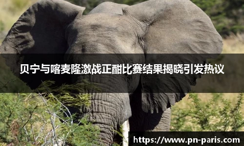 贝宁与喀麦隆激战正酣比赛结果揭晓引发热议
